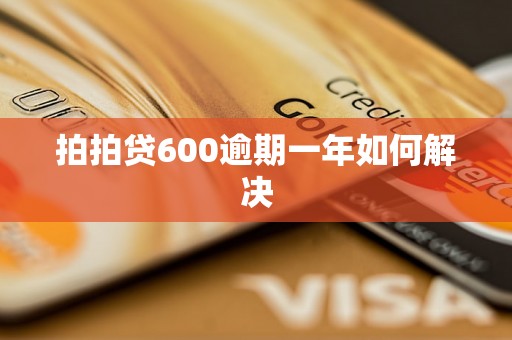 拍拍贷600逾期一年如何解决