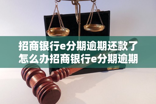 招商银行e分期逾期还款了怎么办招商银行e分期逾期还款了怎么办