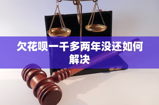 欠花呗一千多两年没还如何解决