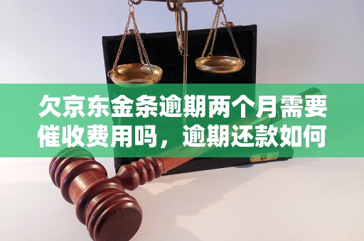 欠京东金条逾期两个月需要催收费用吗，逾期还款如何处理