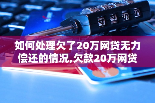 如何处理欠了20万网贷无力偿还的情况,欠款20万网贷催收处理方法