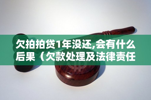 欠拍拍贷1年没还,会有什么后果（欠款处理及法律责任解析）