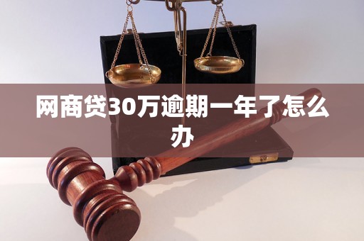 网商贷30万逾期一年了怎么办