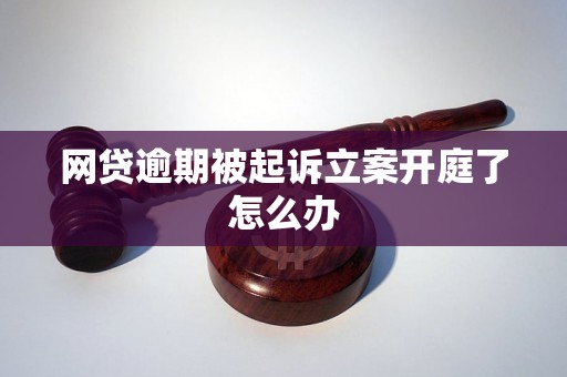 网贷逾期被起诉立案开庭了怎么办