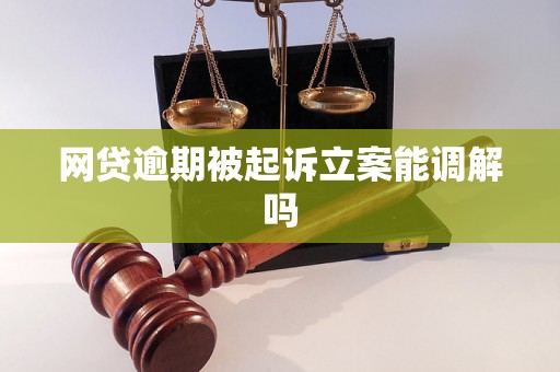 网贷逾期被起诉立案能调解吗