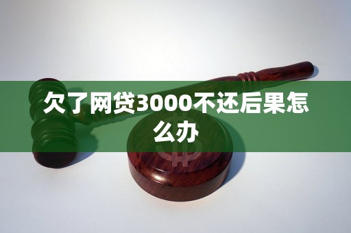 欠了网贷3000不还后果怎么办