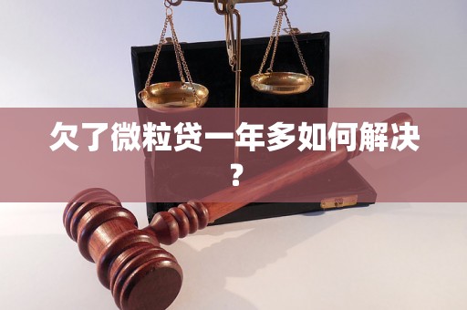 欠了微粒贷一年多如何解决？