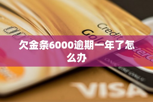 欠金条6000逾期一年了怎么办