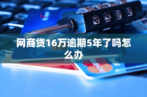 网商贷16万逾期5年了吗怎么办