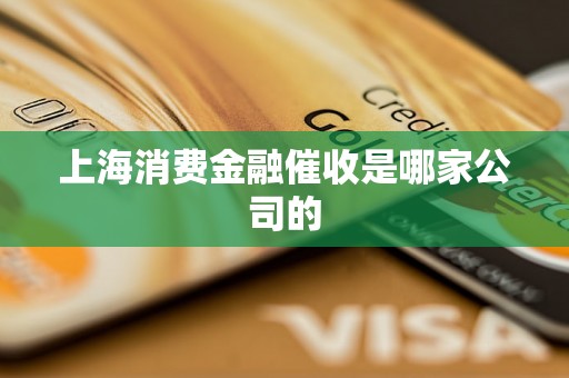 上海消费金融催收是哪家公司的