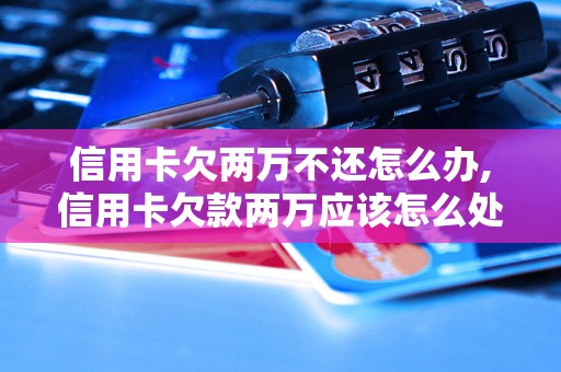 信用卡欠两万不还怎么办,信用卡欠款两万应该怎么处理