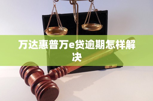 万达惠普万e贷逾期怎样解决