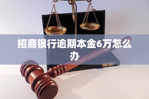 招商银行逾期本金6万怎么办