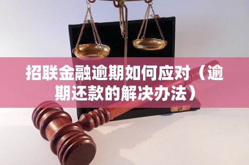 招联金融逾期如何应对（逾期还款的解决办法）