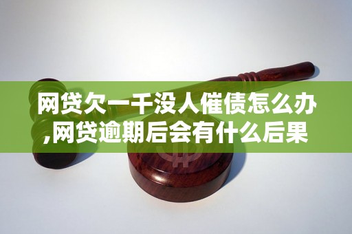 网贷欠一千没人催债怎么办,网贷逾期后会有什么后果