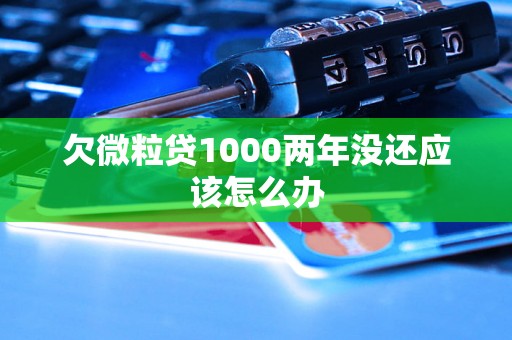 欠微粒贷1000两年没还应该怎么办