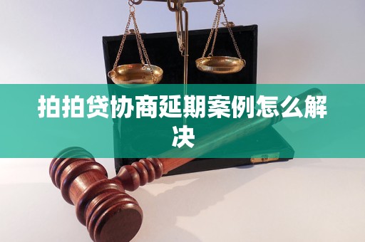 拍拍贷协商延期案例怎么解决