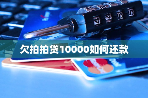 欠拍拍贷10000如何还款