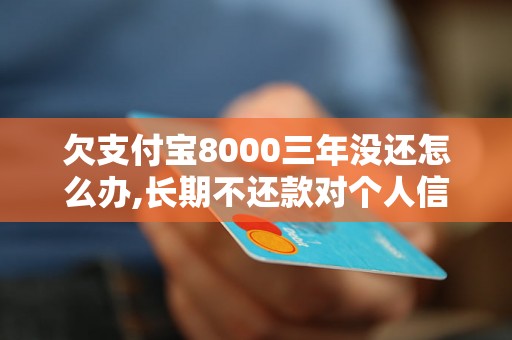 欠支付宝8000三年没还怎么办,长期不还款对个人信用影响大吗