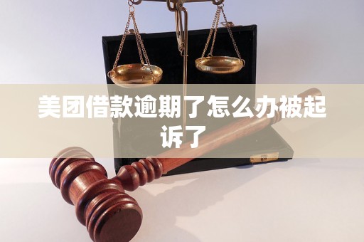 美团借款逾期了怎么办被起诉了