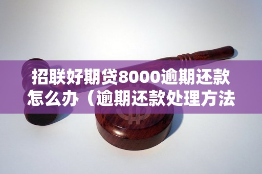 招联好期贷8000逾期还款怎么办（逾期还款处理方法详解）