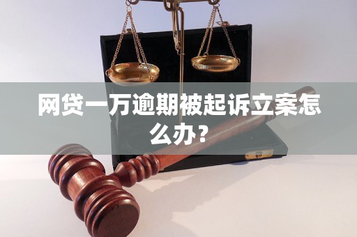 网贷一万逾期被起诉立案怎么办？