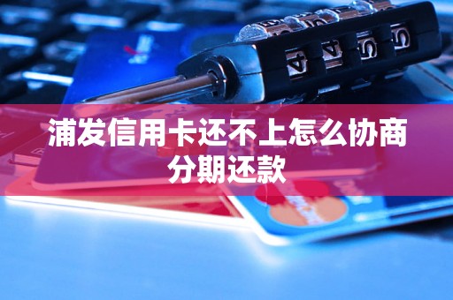 浦发信用卡还不上怎么协商分期还款