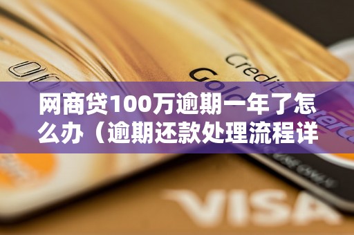 网商贷100万逾期一年了怎么办（逾期还款处理流程详解）