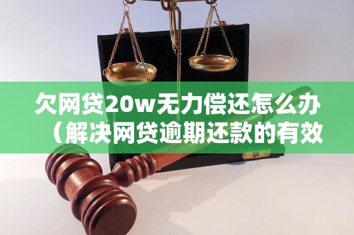 欠网贷20w无力偿还怎么办（解决网贷逾期还款的有效方法）