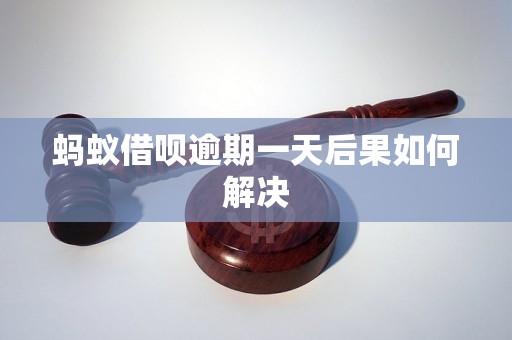 蚂蚁借呗逾期一天后果如何解决