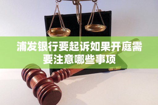 浦发银行要起诉如果开庭需要注意哪些事项