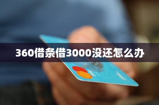 360借条借3000没还怎么办