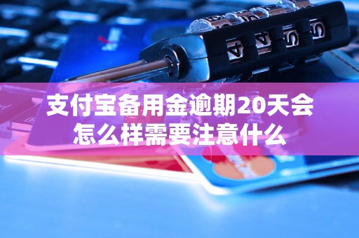 支付宝备用金逾期20天会怎么样需要注意什么