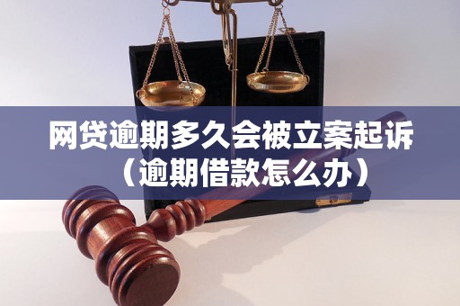 网贷逾期多久会被立案起诉（逾期借款怎么办）