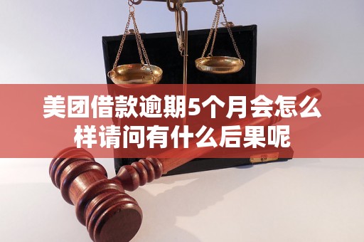 美团借款逾期5个月会怎么样请问有什么后果呢