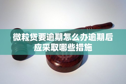 微粒贷要逾期怎么办逾期后应采取哪些措施