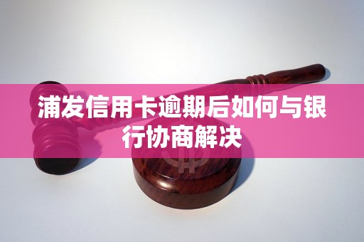 浦发信用卡逾期后如何与银行协商解决