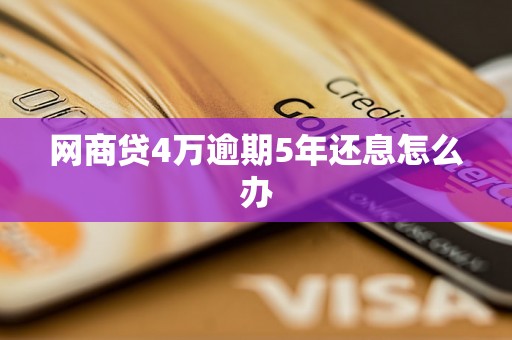 网商贷4万逾期5年还息怎么办