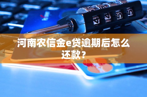 河南农信金e贷逾期后怎么还款？