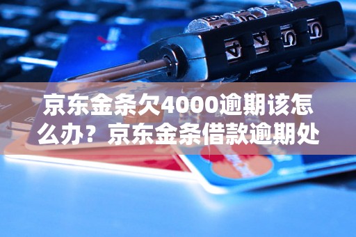 京东金条欠4000逾期该怎么办？京东金条借款逾期处理方法