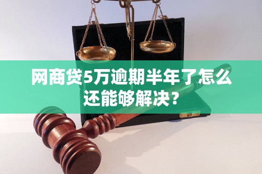 网商贷5万逾期半年了怎么还能够解决？