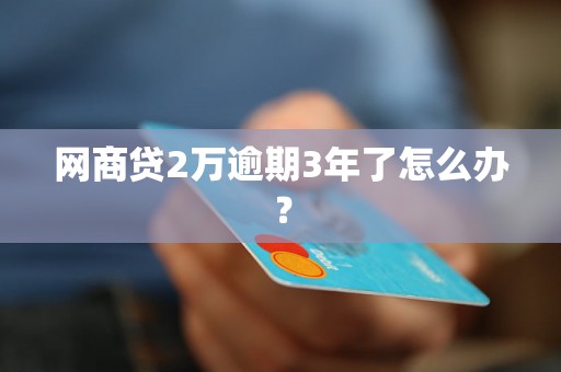 网商贷2万逾期3年了怎么办？