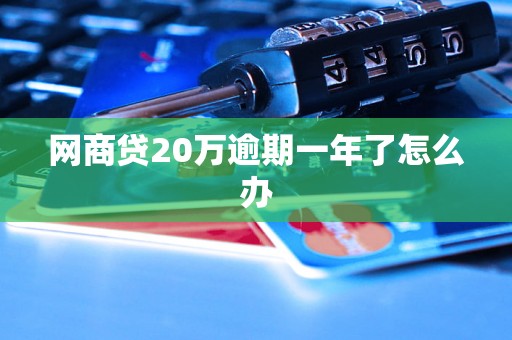 网商贷20万逾期一年了怎么办