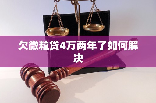 欠微粒贷4万两年了如何解决