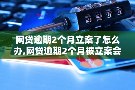 网贷逾期2个月立案了怎么办,网贷逾期2个月被立案会怎样