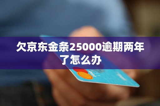 欠京东金条25000逾期两年了怎么办