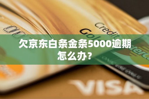 欠京东白条金条5000逾期怎么办？