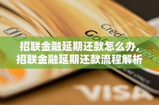 招联金融延期还款怎么办,招联金融延期还款流程解析