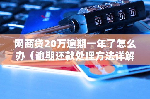 网商贷20万逾期一年了怎么办（逾期还款处理方法详解）