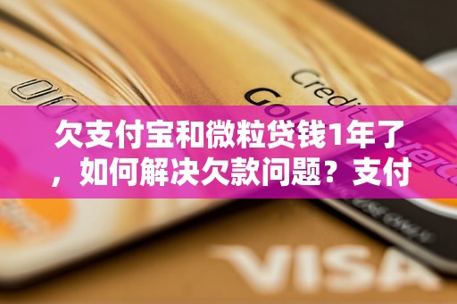 欠支付宝和微粒贷钱1年了，如何解决欠款问题？支付宝和微粒贷欠款处理办法